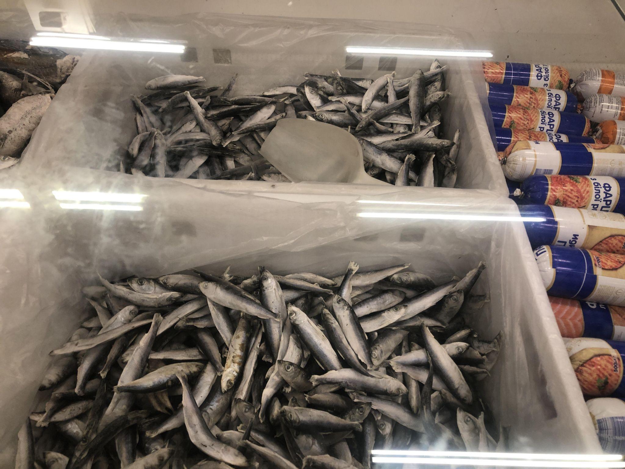 Новини Тернополя - фото з Безкоштовні пластикові пакети стануть… коштовними. Як будемо купувати продукти у супермаркетах?