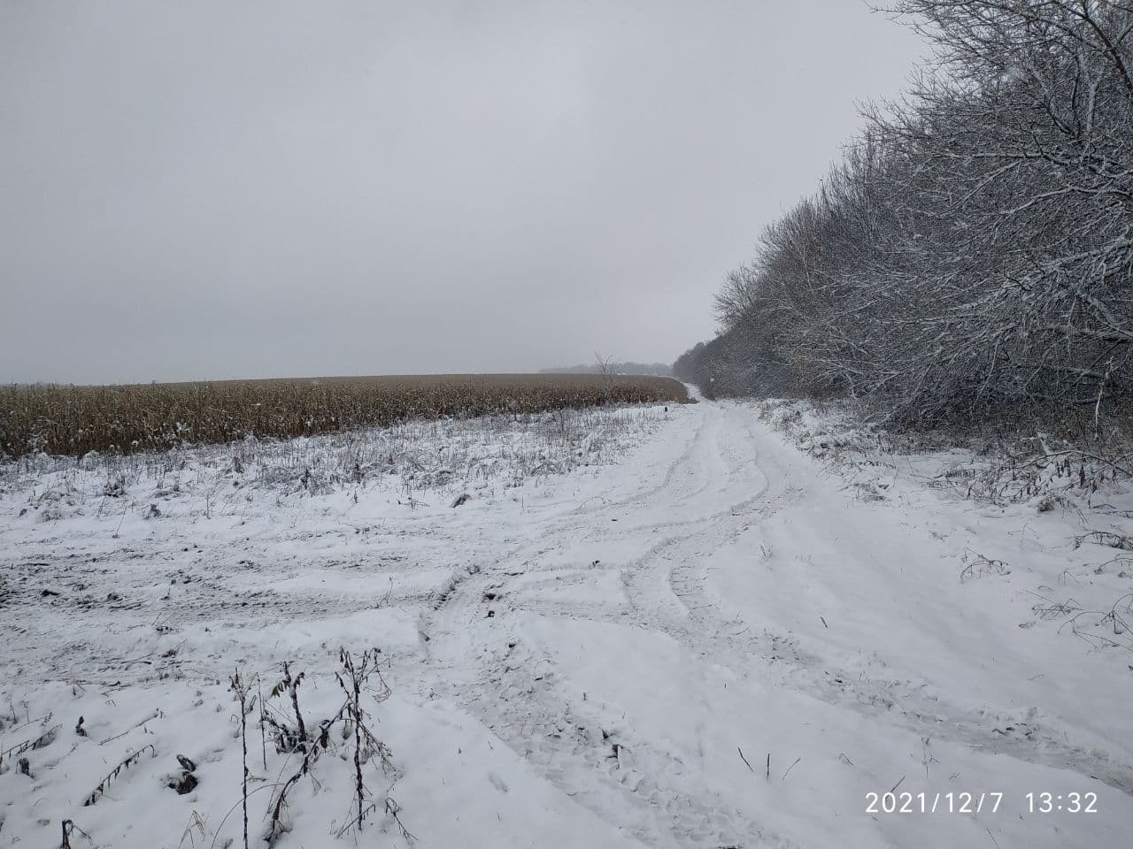 Новини Тернополя - фото з «Невідомі» поховання посеред поля кукурудзи. Як та де ховають безхатьків: репортаж «20 хвилин»