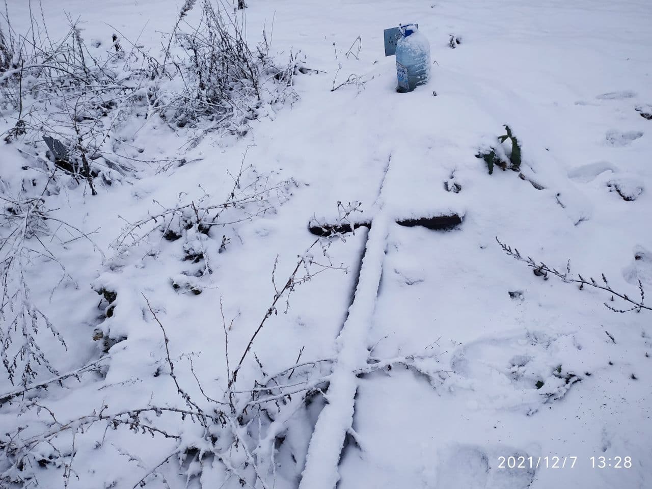 Новини Тернополя - фото з «Невідомі» поховання посеред поля кукурудзи. Як та де ховають безхатьків: репортаж «20 хвилин»