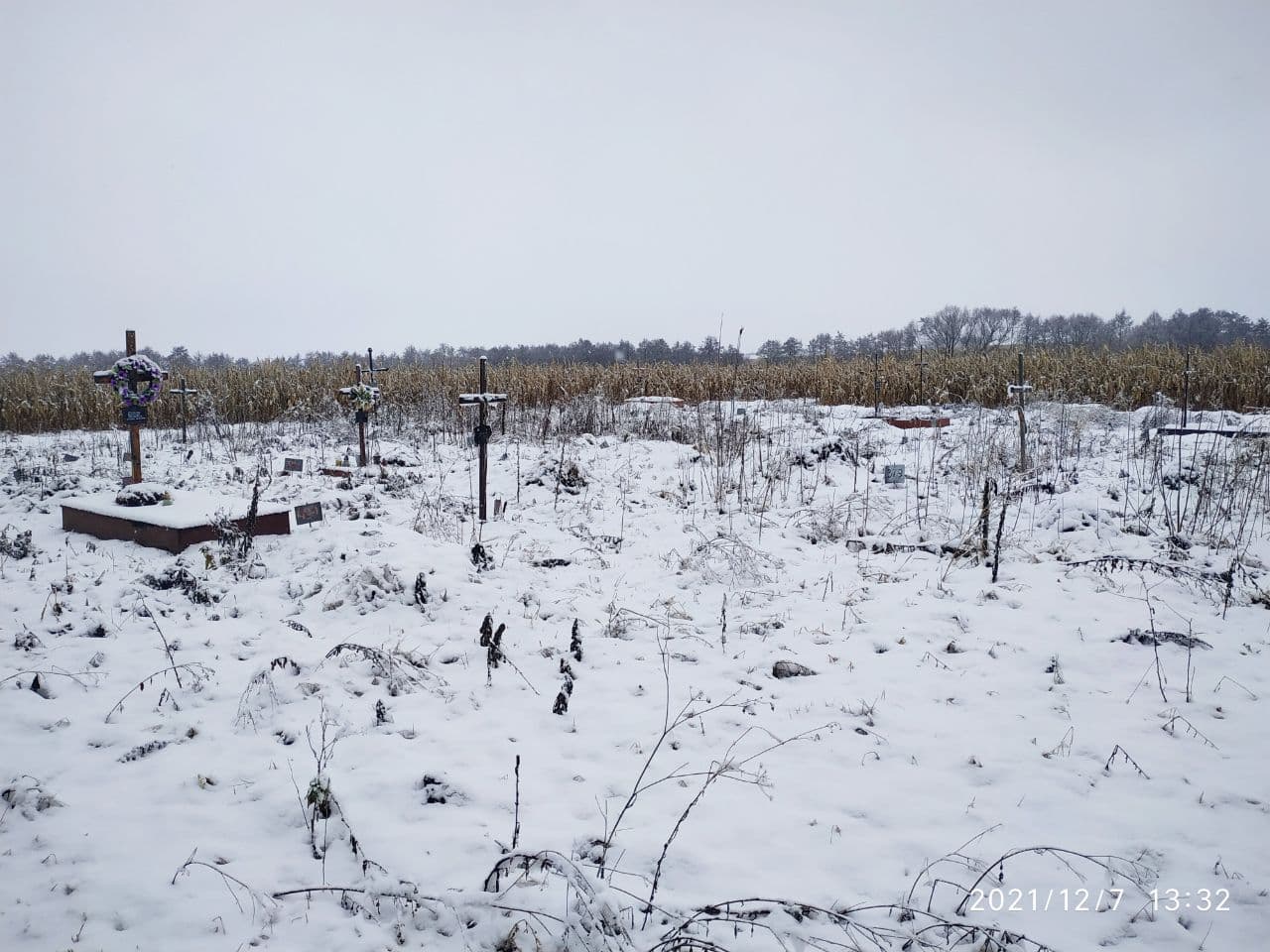 Новини Тернополя - фото з «Невідомі» поховання посеред поля кукурудзи. Як та де ховають безхатьків: репортаж «20 хвилин»