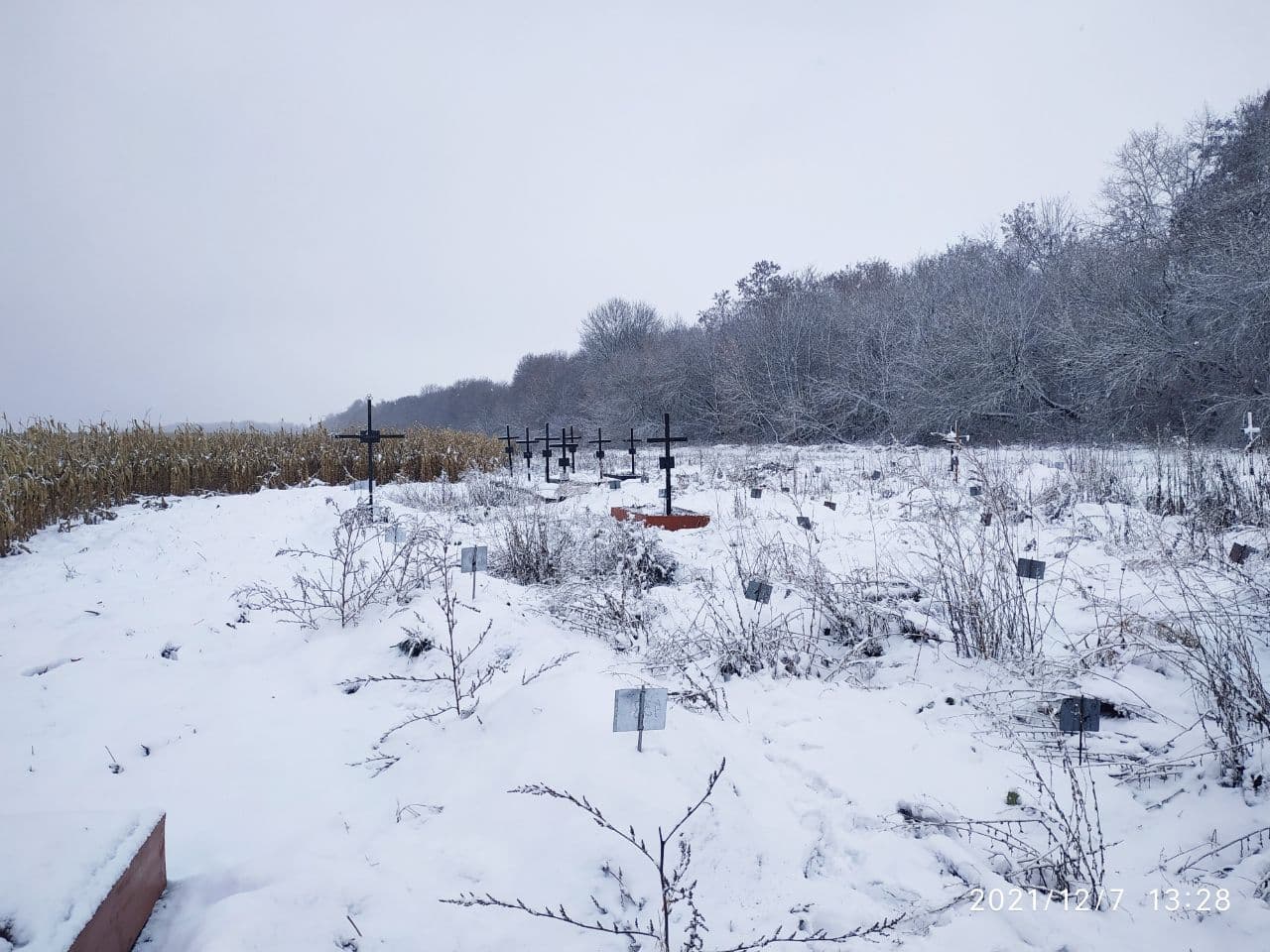 Новини Тернополя - фото з «Невідомі» поховання посеред поля кукурудзи. Як та де ховають безхатьків: репортаж «20 хвилин»