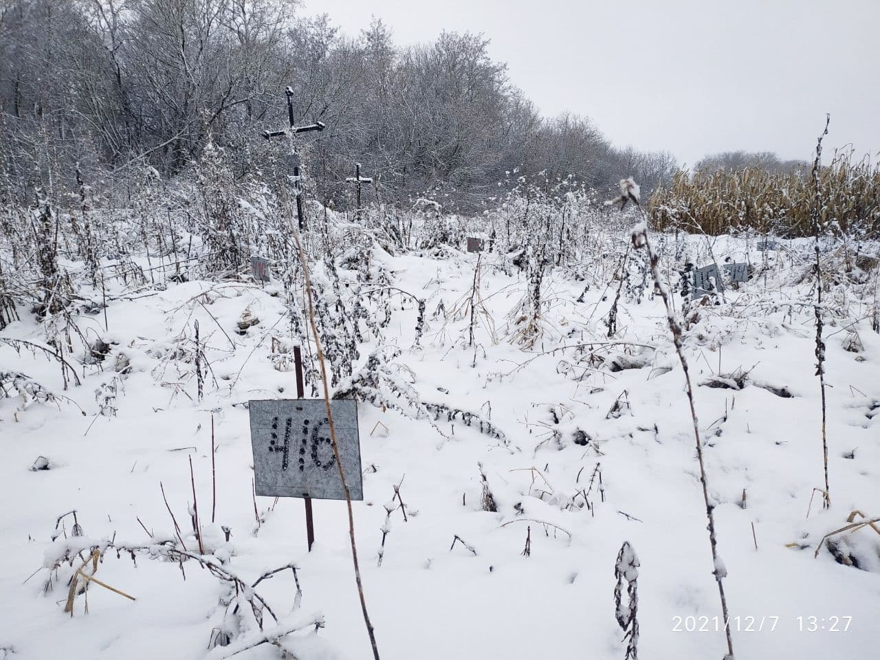 Новини Тернополя - фото з «Невідомі» поховання посеред поля кукурудзи. Як та де ховають безхатьків: репортаж «20 хвилин»