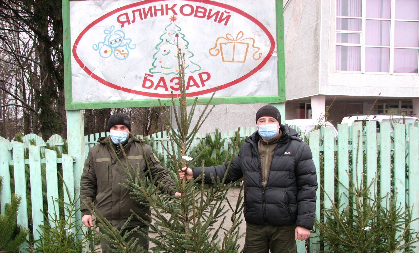 Новини Вінниці - фото з «Купуйте ялинку — природі не зашкодите». В яку ціну будуть лісові красуні і чим вони корисні?