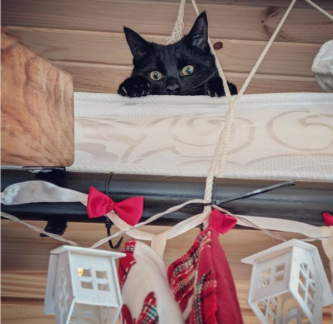 Новини Хмельницького - фото з Хмельницький в Instagram: кращі фото за останній тиждень