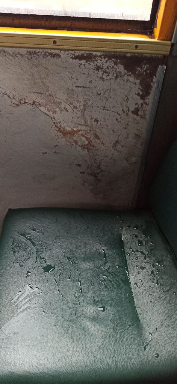 Новини Житомира - фото з Дощ у житомирській маршрутці. Фотофакт