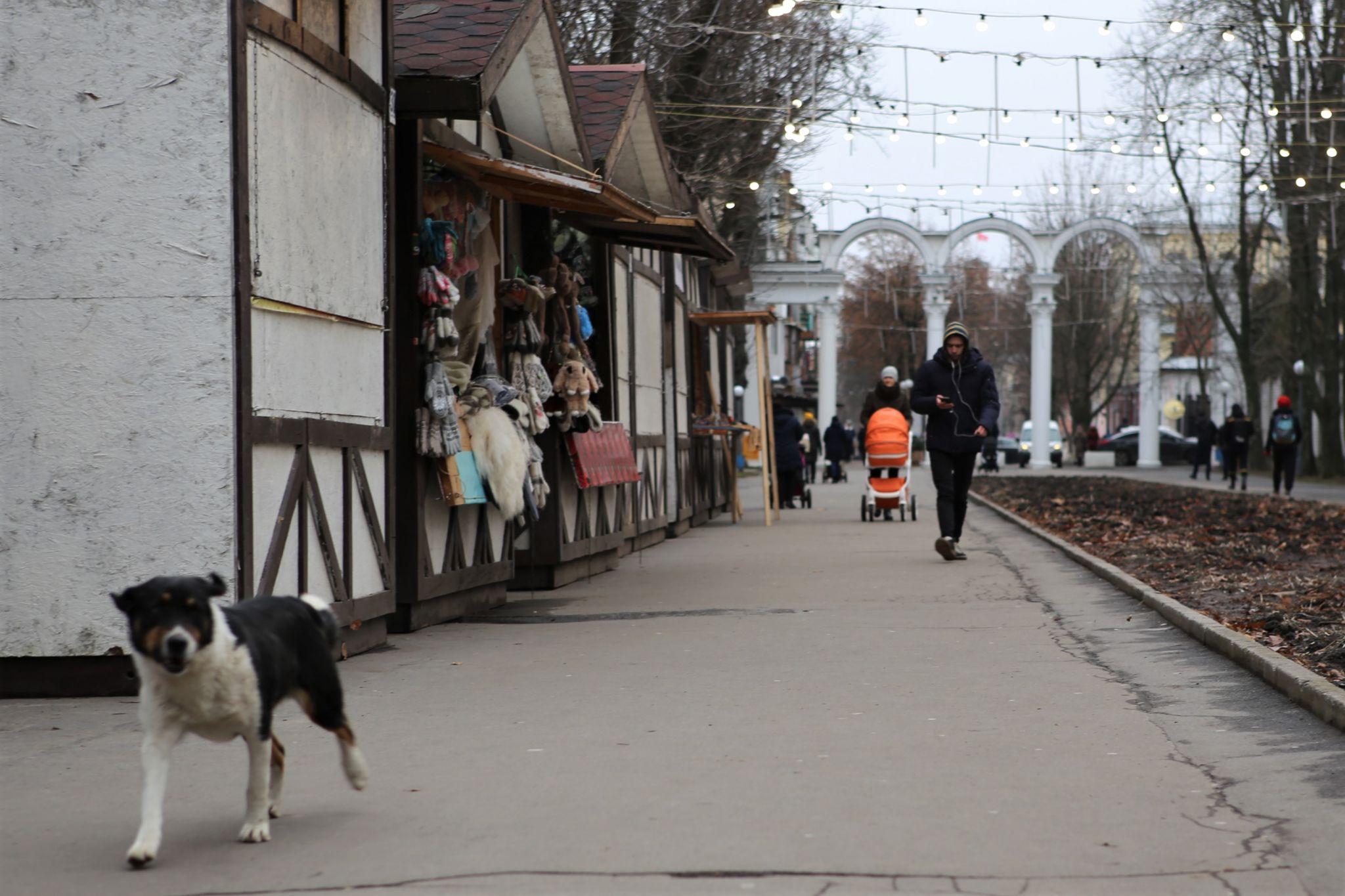 Новини Вінниці - фото з Як виглядає вінницьке «Зимове містечко» за кілька днів до офіційного відкриття