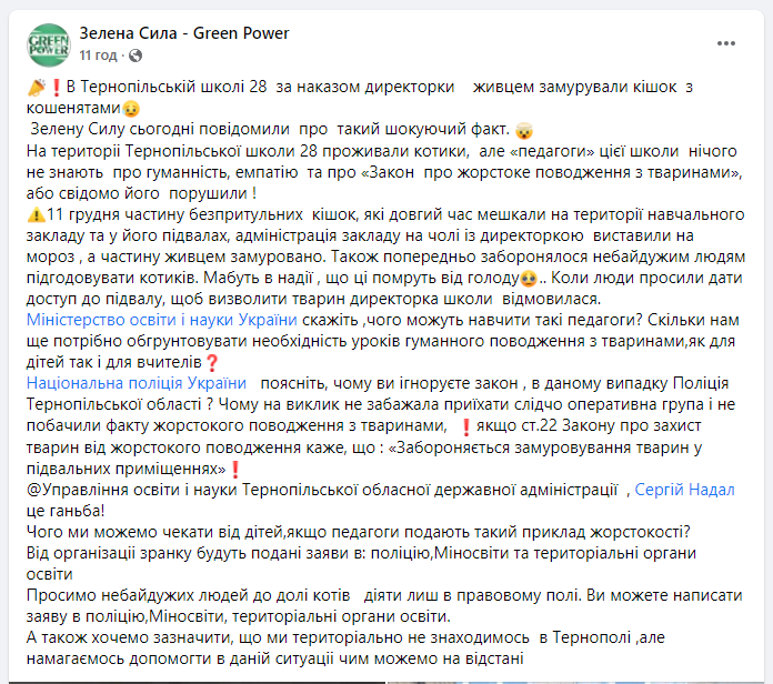 Новини Тернополя - фото з Замурували кошенят живими у підвалі? Ми дізналися подробиці, що ж насправді сталося у 28 школі