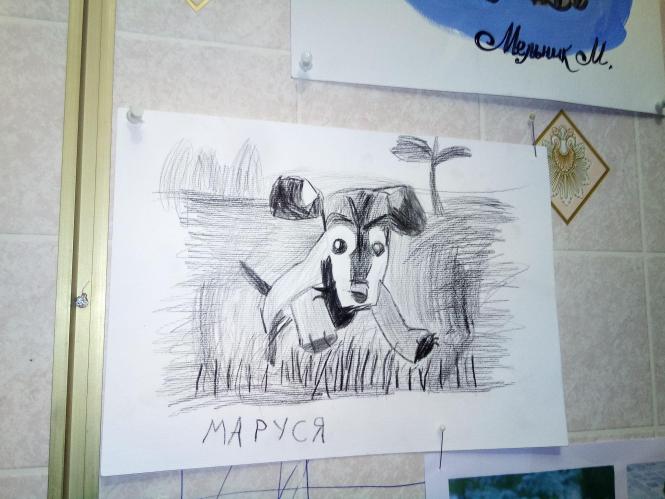 Новини Вінниці - фото з Малюнок юної козятинчанки буде на всіх кавових стаканчиках заправок WOG