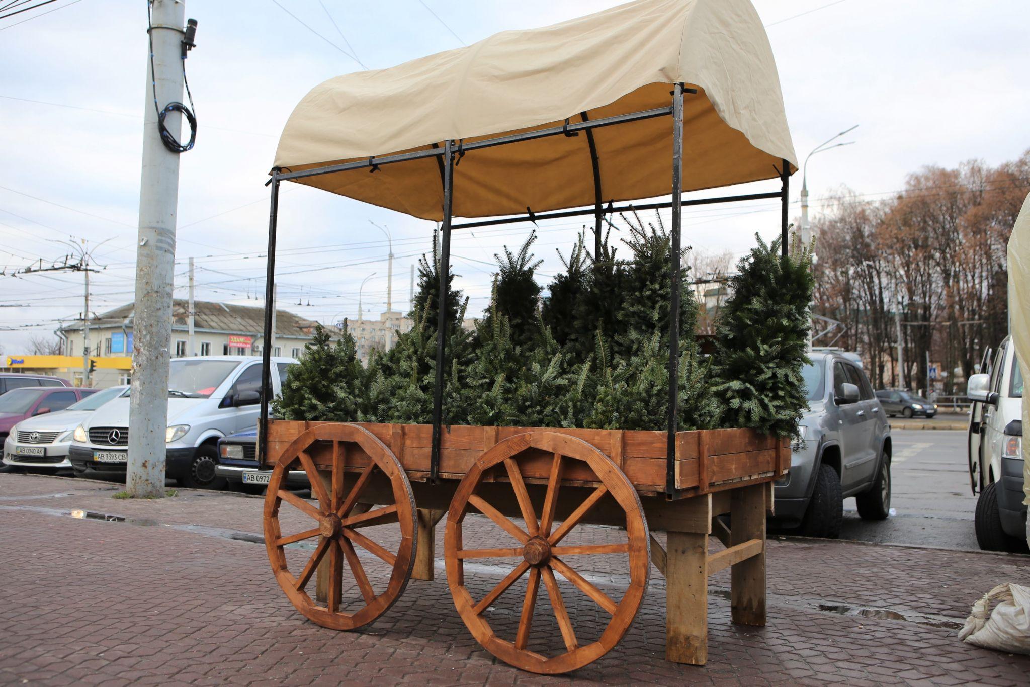Новини Вінниці - фото з У Вінниці відкрився перший ялинковий ринок. Що та за скільки там можна придбати