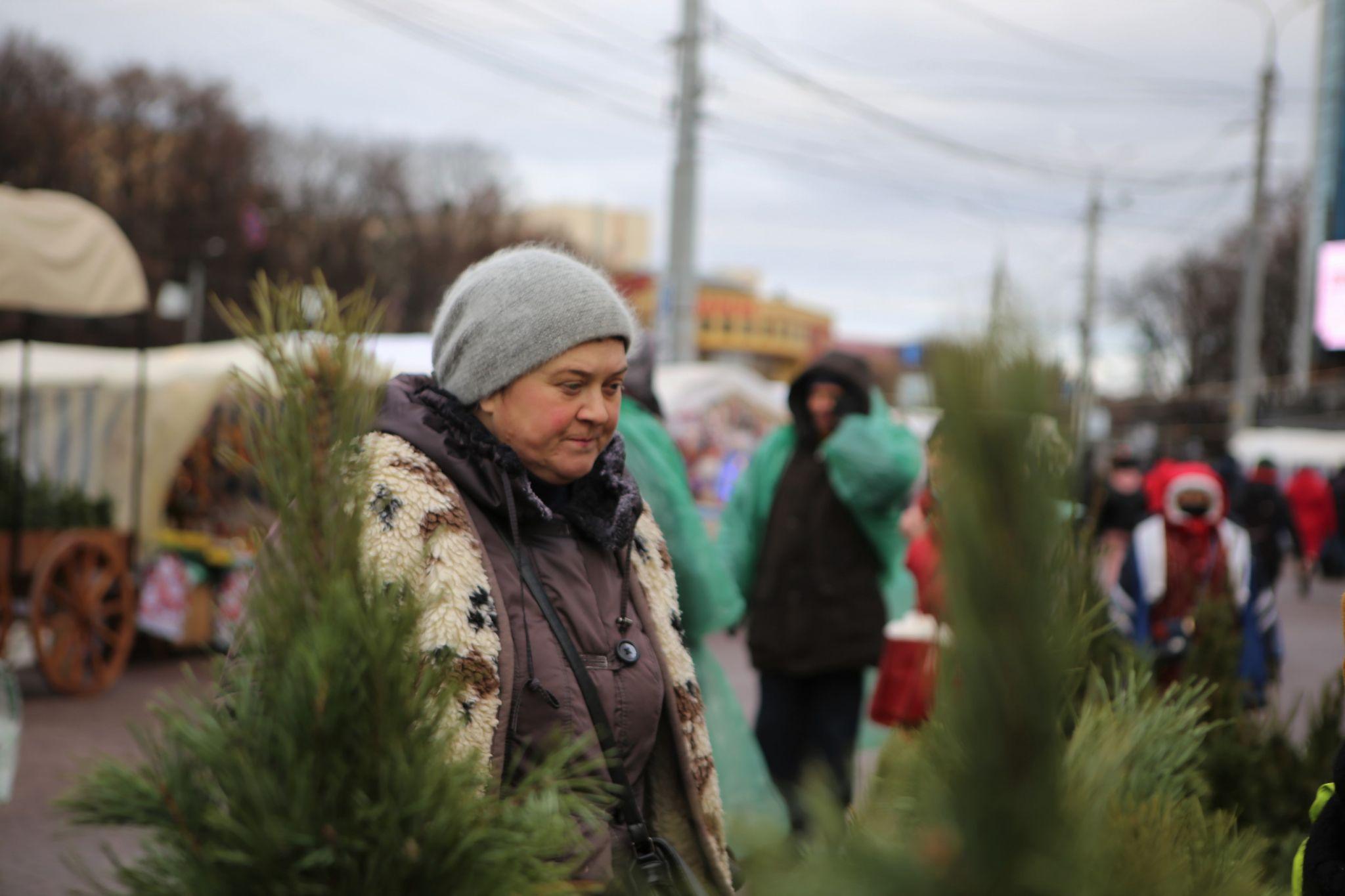 Новини Вінниці - фото з У Вінниці відкрився перший ялинковий ринок. Що та за скільки там можна придбати