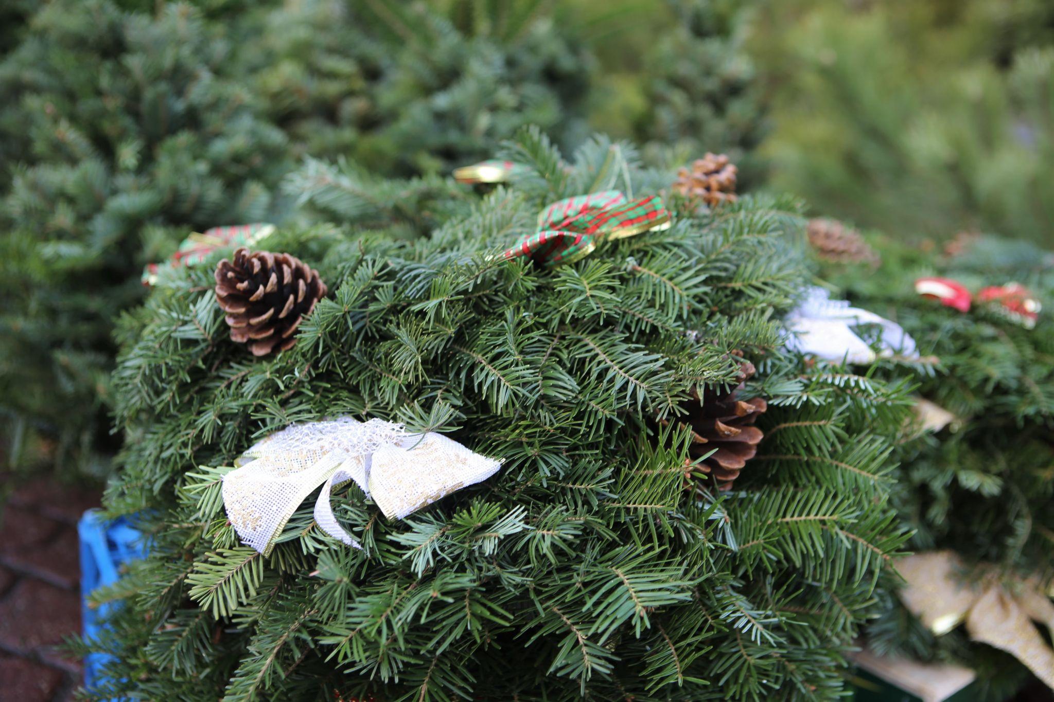 Новини Вінниці - фото з У Вінниці відкрився перший ялинковий ринок. Що та за скільки там можна придбати