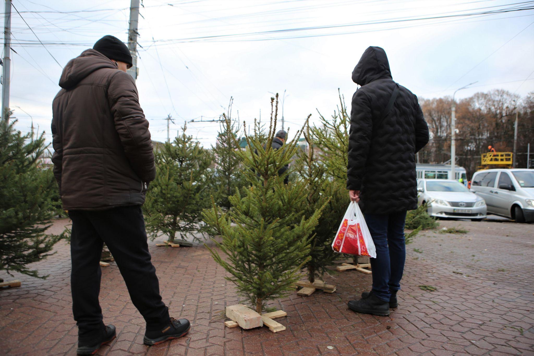 Новини Вінниці - фото з У Вінниці відкрився перший ялинковий ринок. Що та за скільки там можна придбати