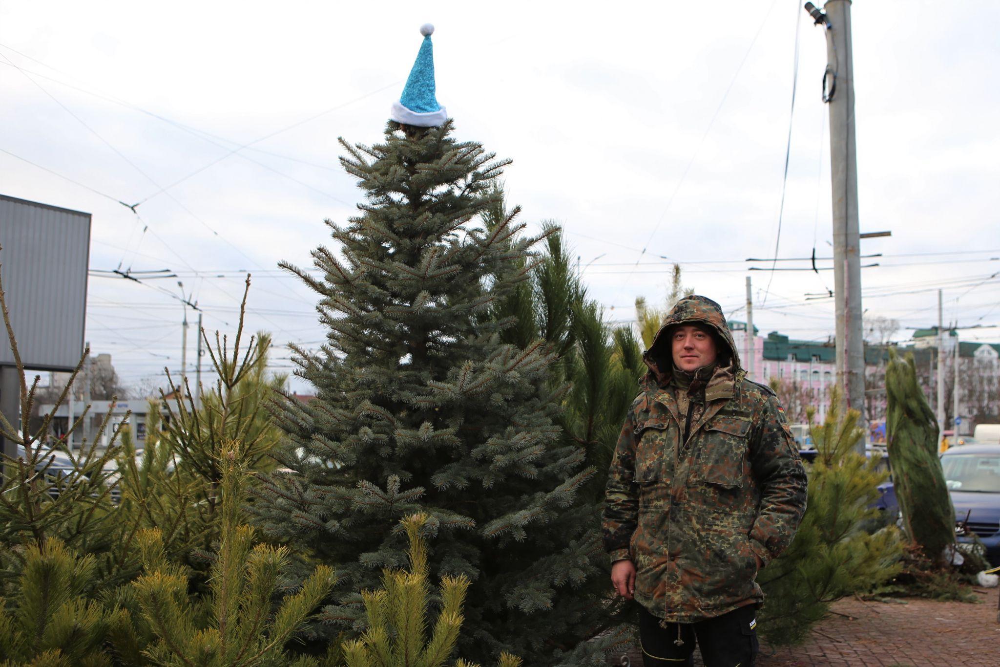 Новини Вінниці - фото з У Вінниці відкрився перший ялинковий ринок. Що та за скільки там можна придбати