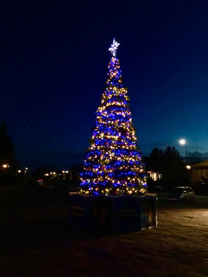 Новини Тернополя - фото з Як виглядають новорічні красуні в містечках Тернопільщини. Голосуйте за найкрасивішу Немає опису світлини.