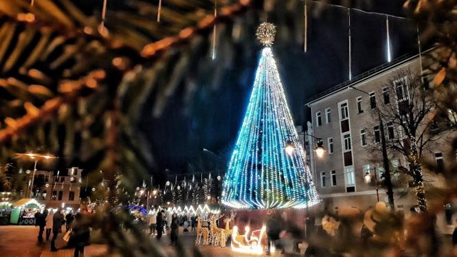 Фото - Василь Камінський