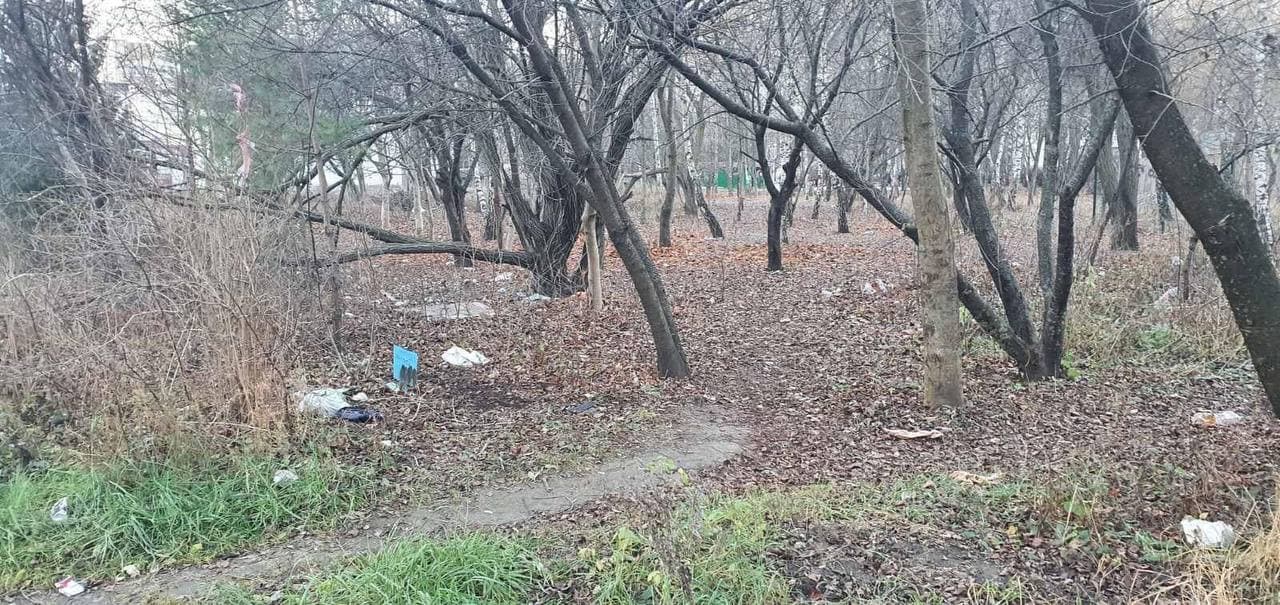 Новини Тернополя - фото з Тернопіль може отримати три нові сквери. Де і як виглядатимуть, ми дізналися