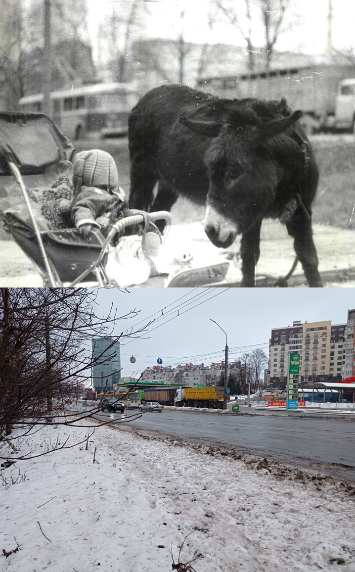 Новини Тернополя - фото з Як змінився Комсомольський парк Тернополя: згадуємо минуле. Відтворили ретро-фото!