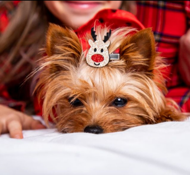 Новини Хмельницького - фото з Хмельницький в Instagram: кращі фото за останній тиждень