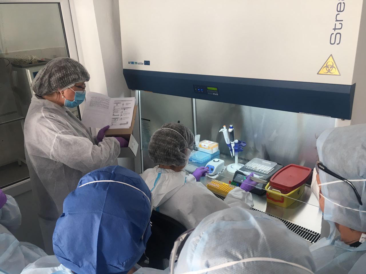 Новини Тернополя - фото з Тернополян «косить» не тільки коронавірус, а й грип. Як розрізнити: поради фахівців На Тернопільщині за добу COVID-19 виявили у 371 особи