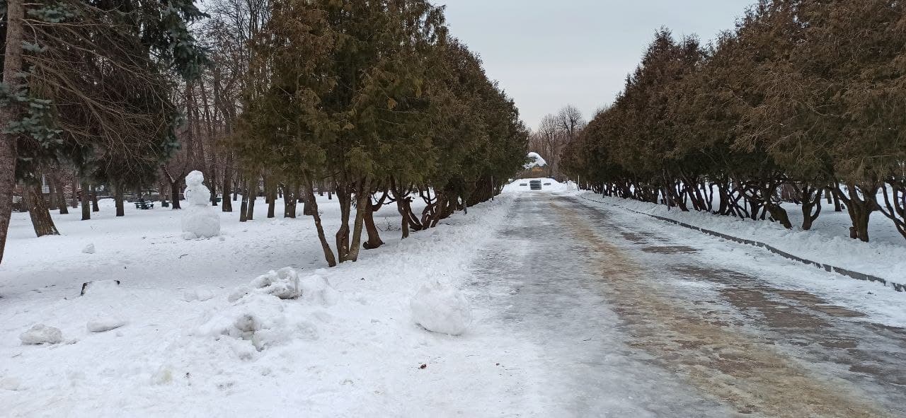 Новини Житомира - фото з Житомирські сніговики. Фото дня