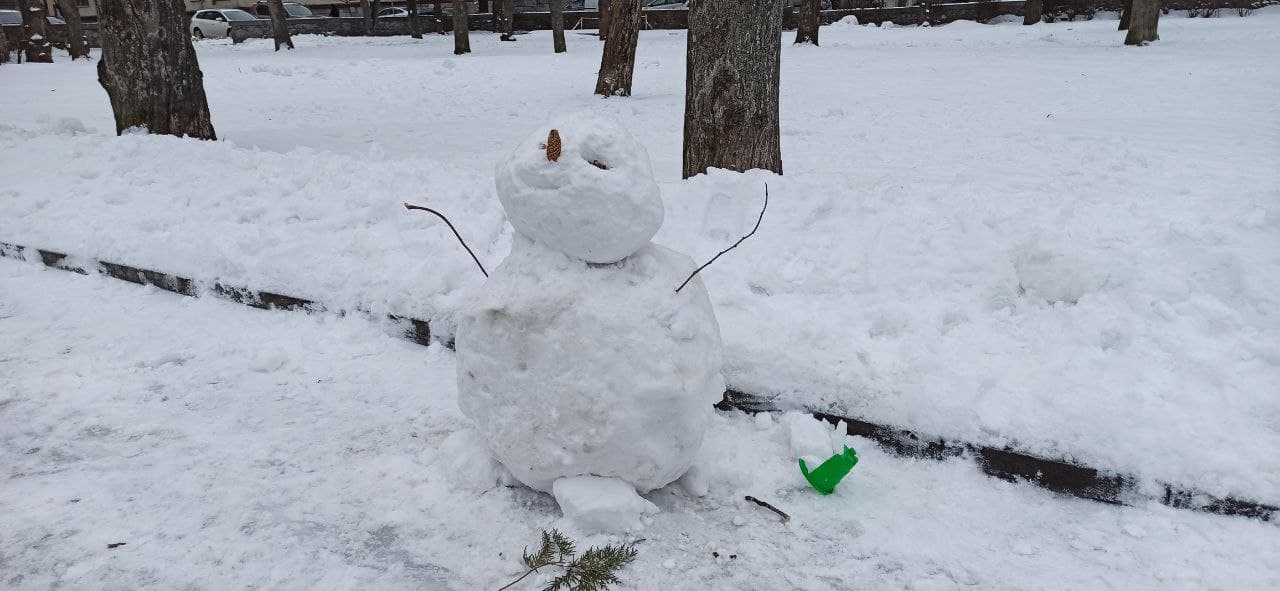 Новини Житомира - фото з Житомирські сніговики. Фото дня