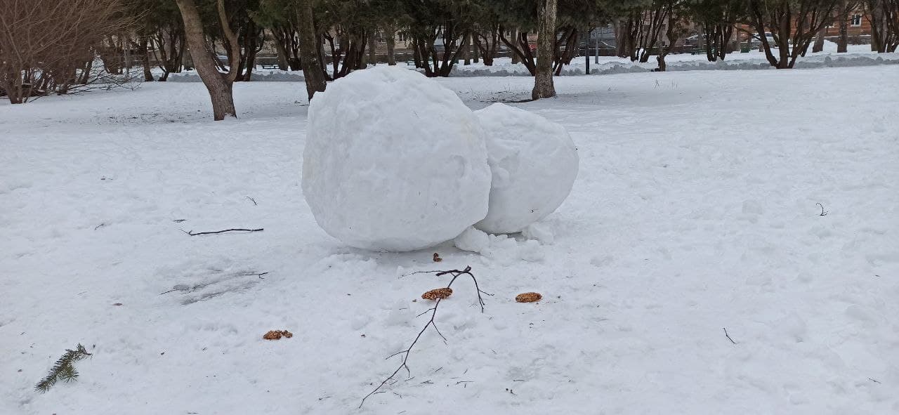 Новини Житомира - фото з Житомирські сніговики. Фото дня