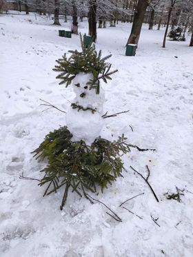 Новини Козятина - фото з Фото дня: біля вокзалу понівечили молоду ялинку, аби прикрасити сніговика
