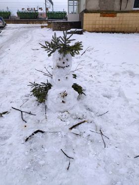 Новини Козятина - фото з Фото дня: біля вокзалу понівечили молоду ялинку, аби прикрасити сніговика