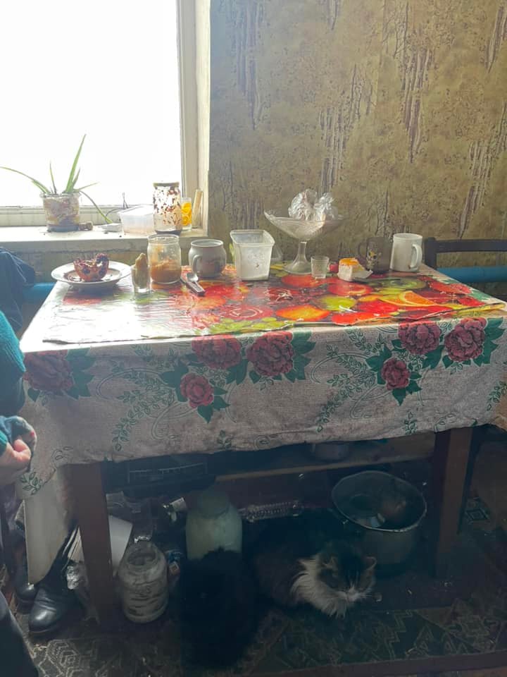 Возможно, это изображение (кот и в помещении)