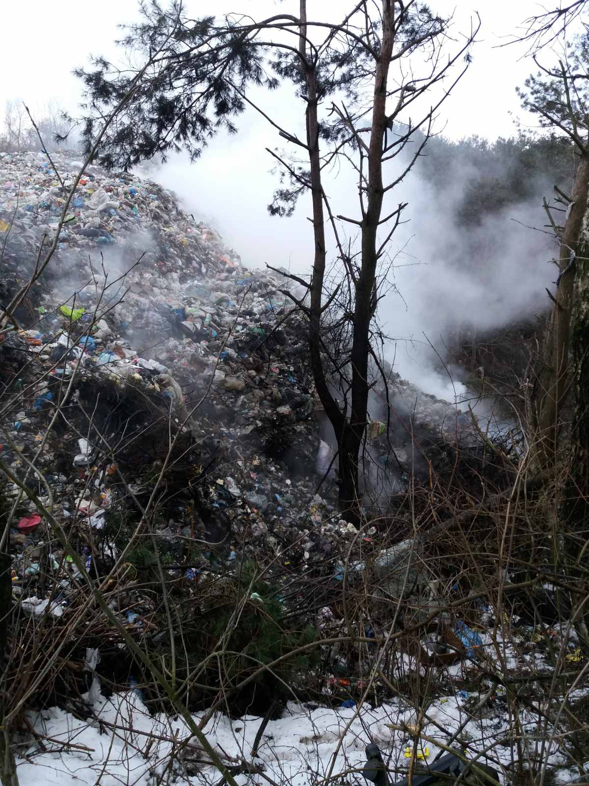 Новини Тернополя - фото з В урочищі на Тернопільщині горіло сміттєзвалище