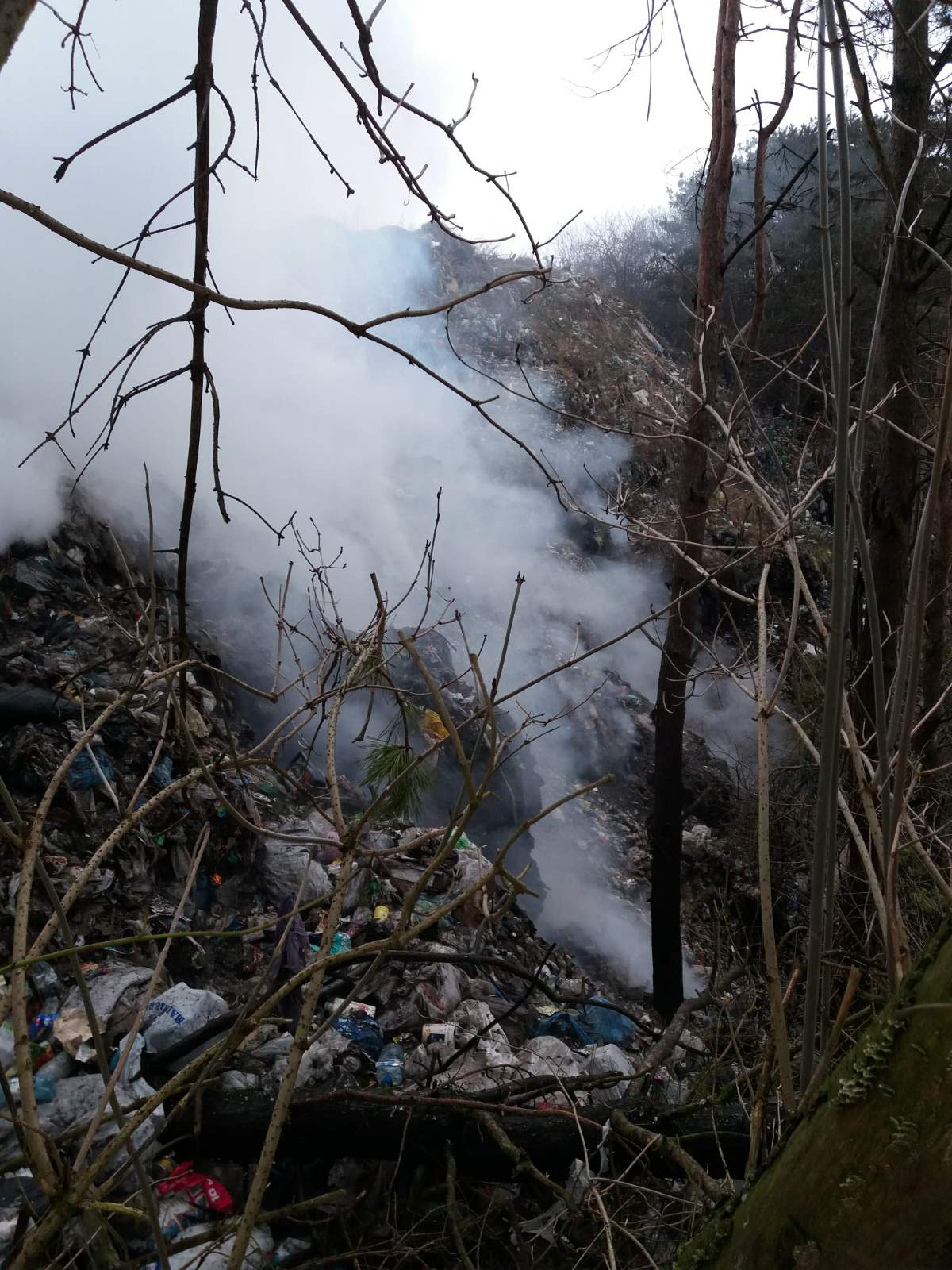 Новини Тернополя - фото з В урочищі на Тернопільщині горіло сміттєзвалище