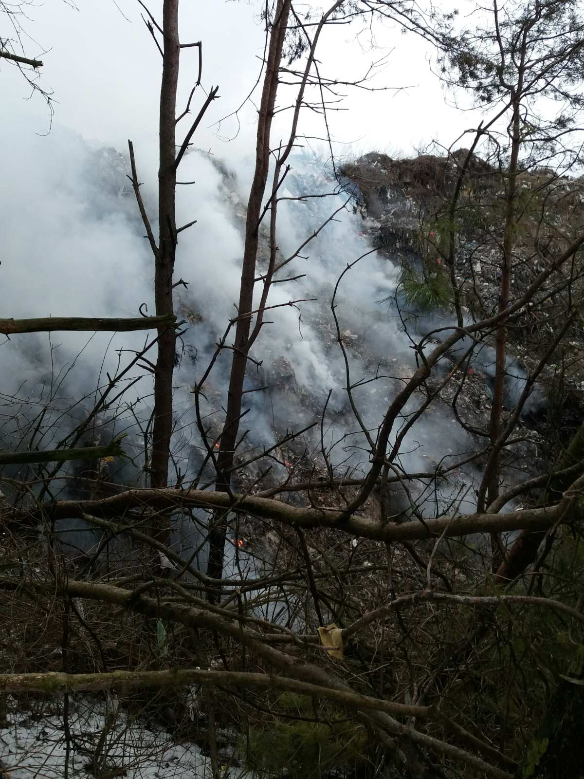 Новини Тернополя - фото з В урочищі на Тернопільщині горіло сміттєзвалище