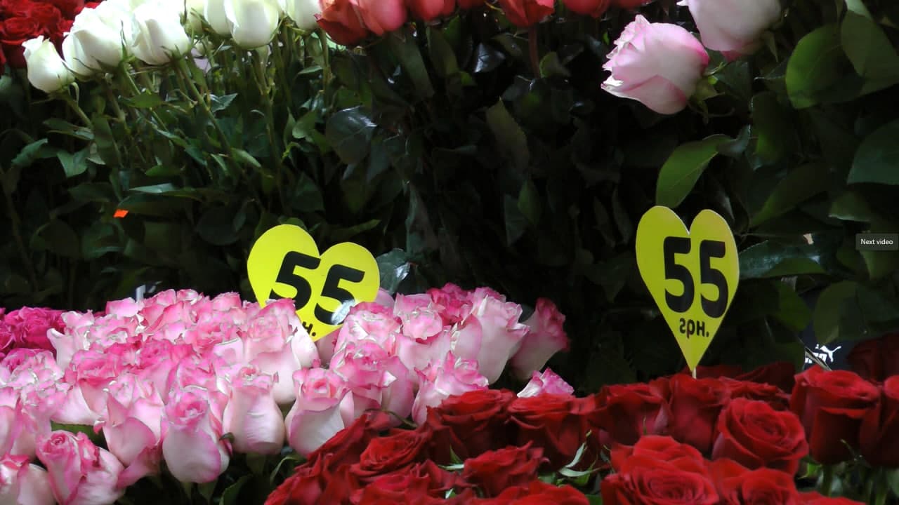 Новини Вінниці - фото з Розіб'ють серце вашому гаманцю... Дізналися, як змінилися ціни на квіти в День закоханих