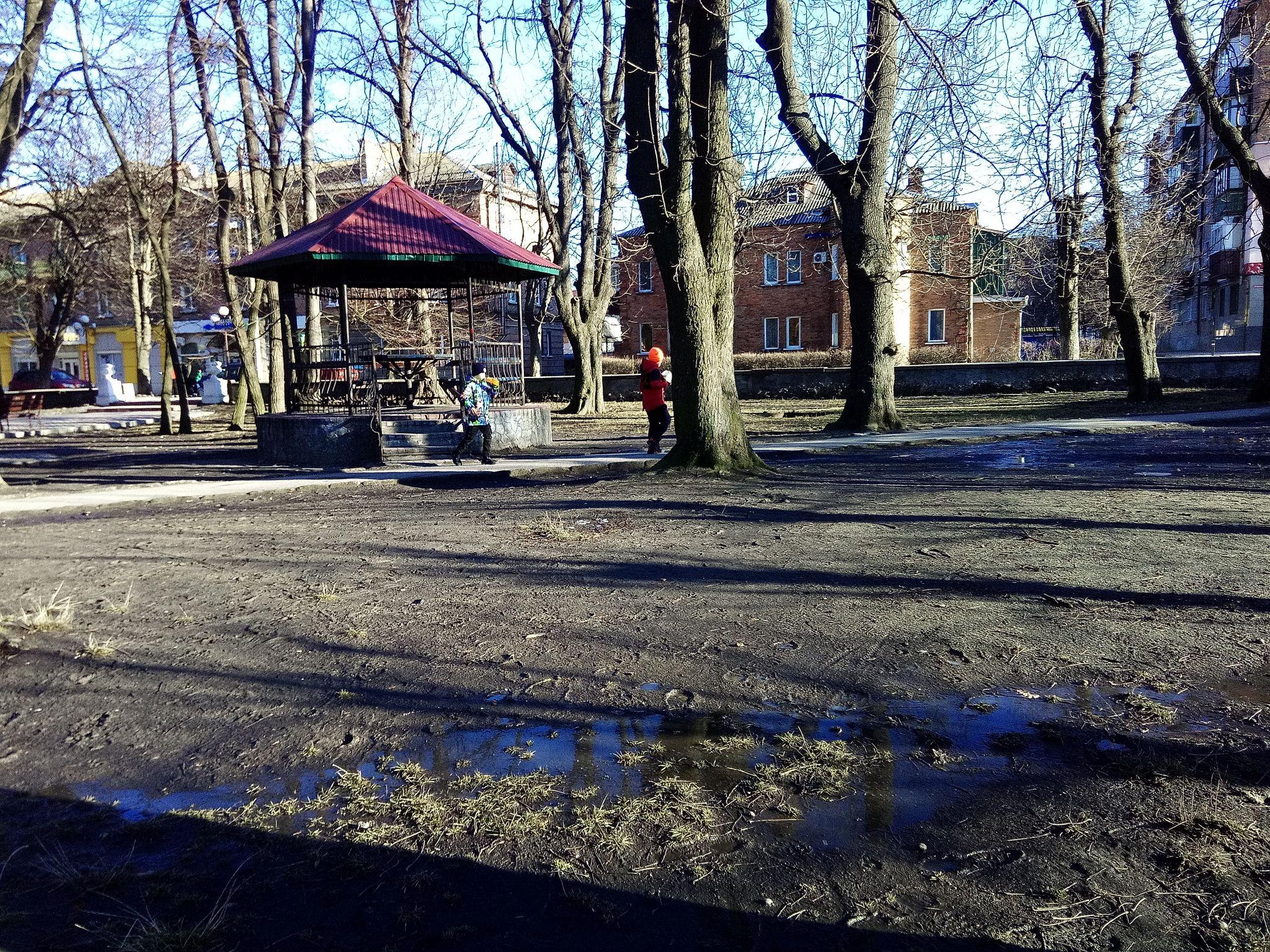 Новини Козятина - фото з Парк потопає у болоті