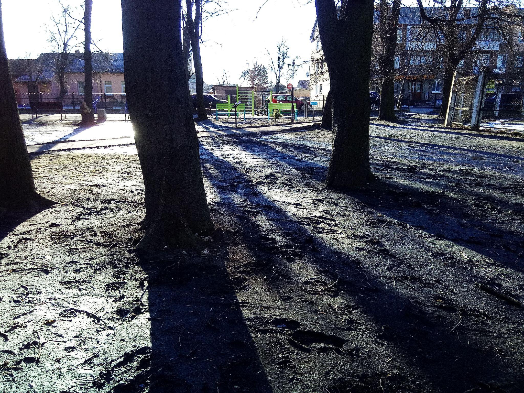 Новини Козятина - фото з Парк потопає у болоті