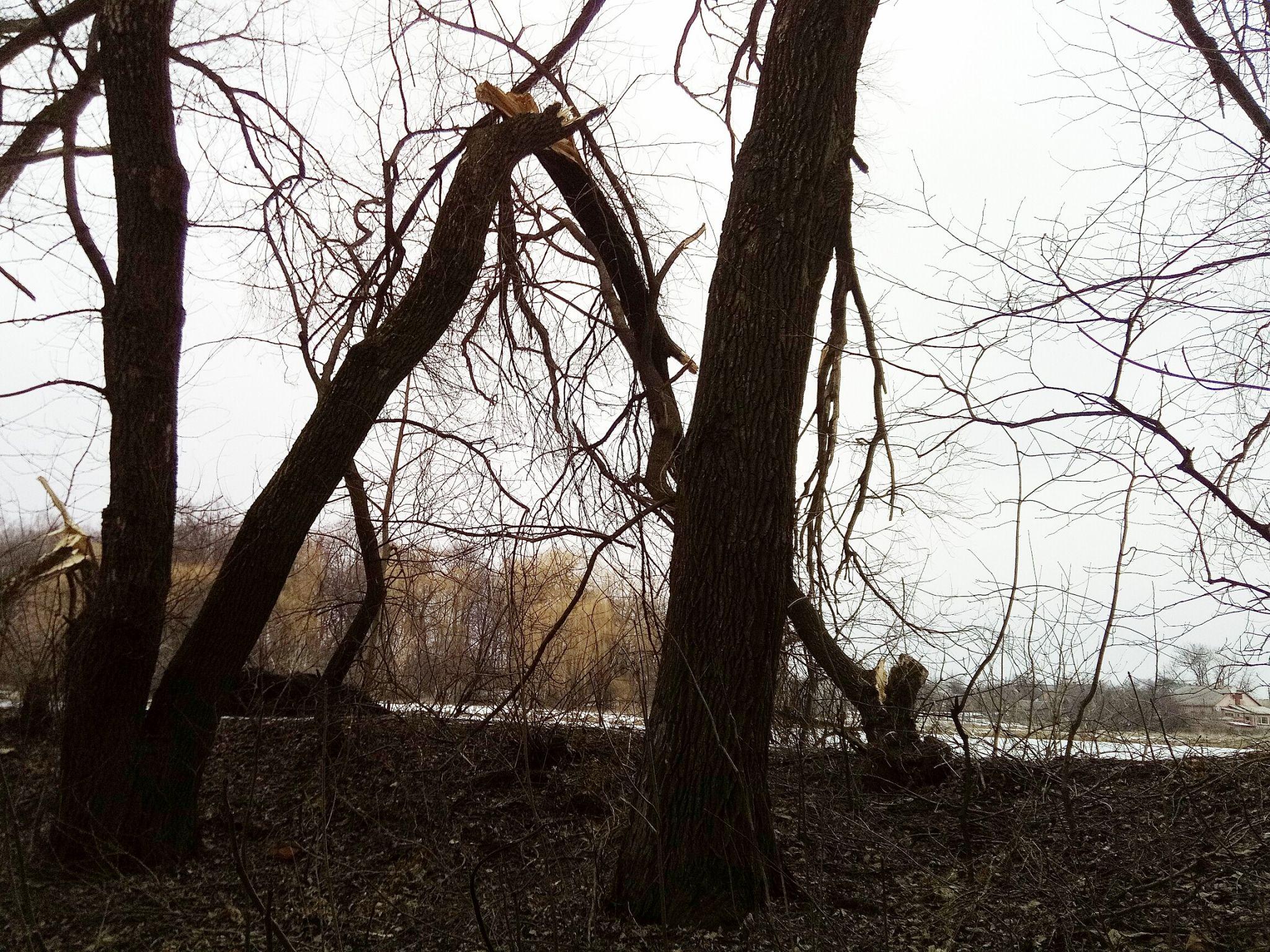 Новини Козятина - фото з Прогулянка на стадіоні може стати небезпечною