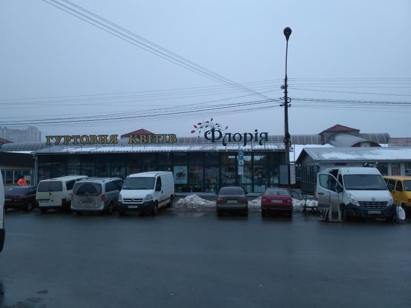 Новини Тернополя - фото з Підбирають квіти за характером і не тільки. Скільки коштує прокат букетів для фотосесій у Тернополі