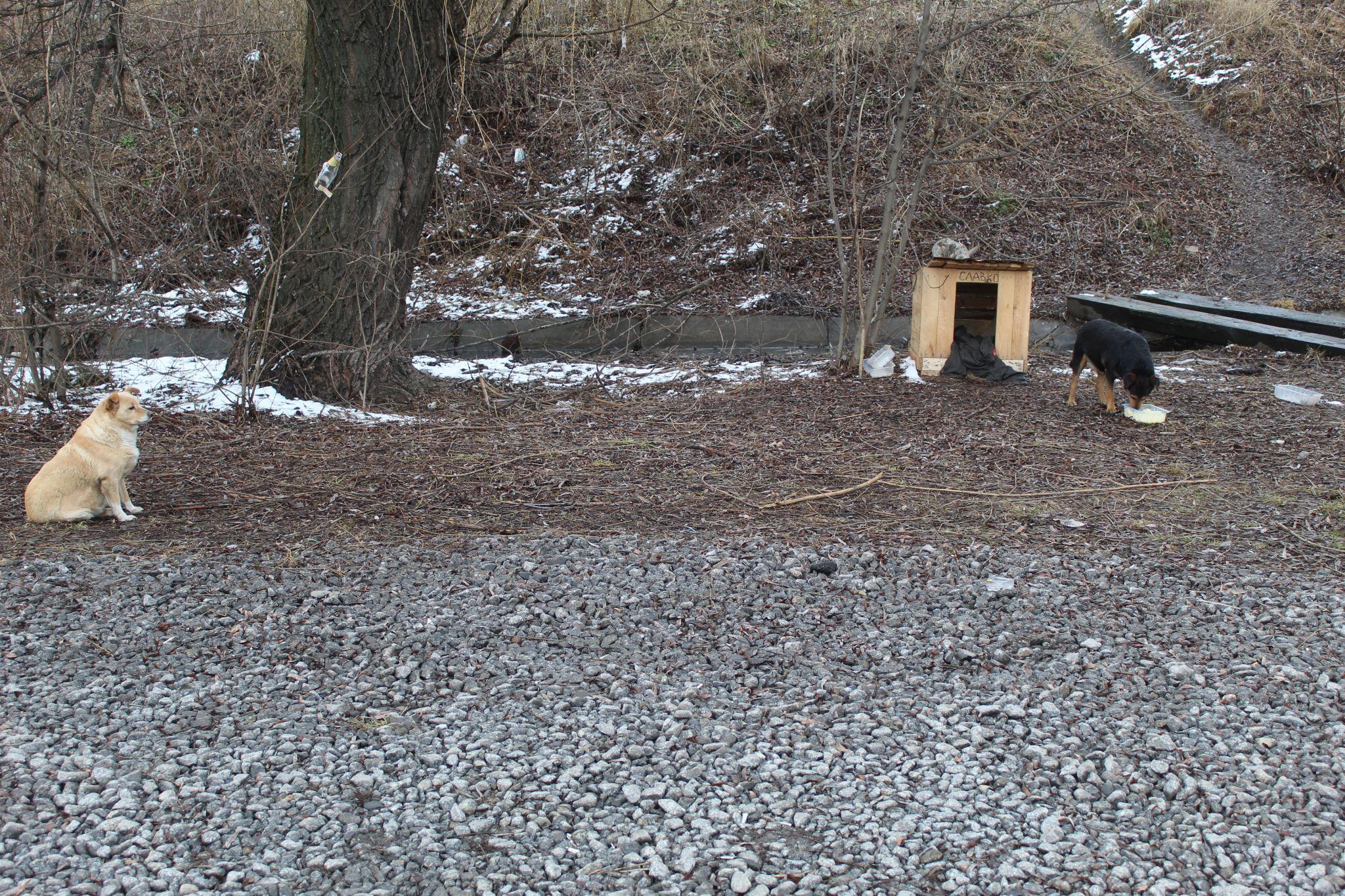 Новини Козятина - фото з Проліски, волонтерський рух, повернуті гроші та громадський транспорт