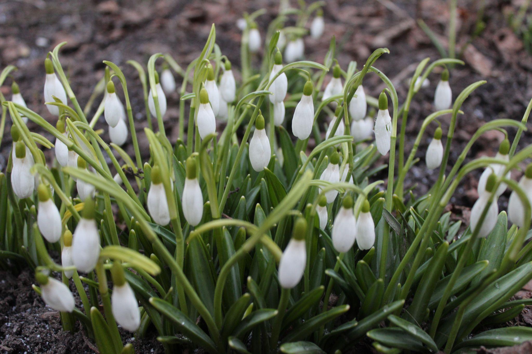 Новини Козятина - фото з Проліски, волонтерський рух, повернуті гроші та громадський транспорт