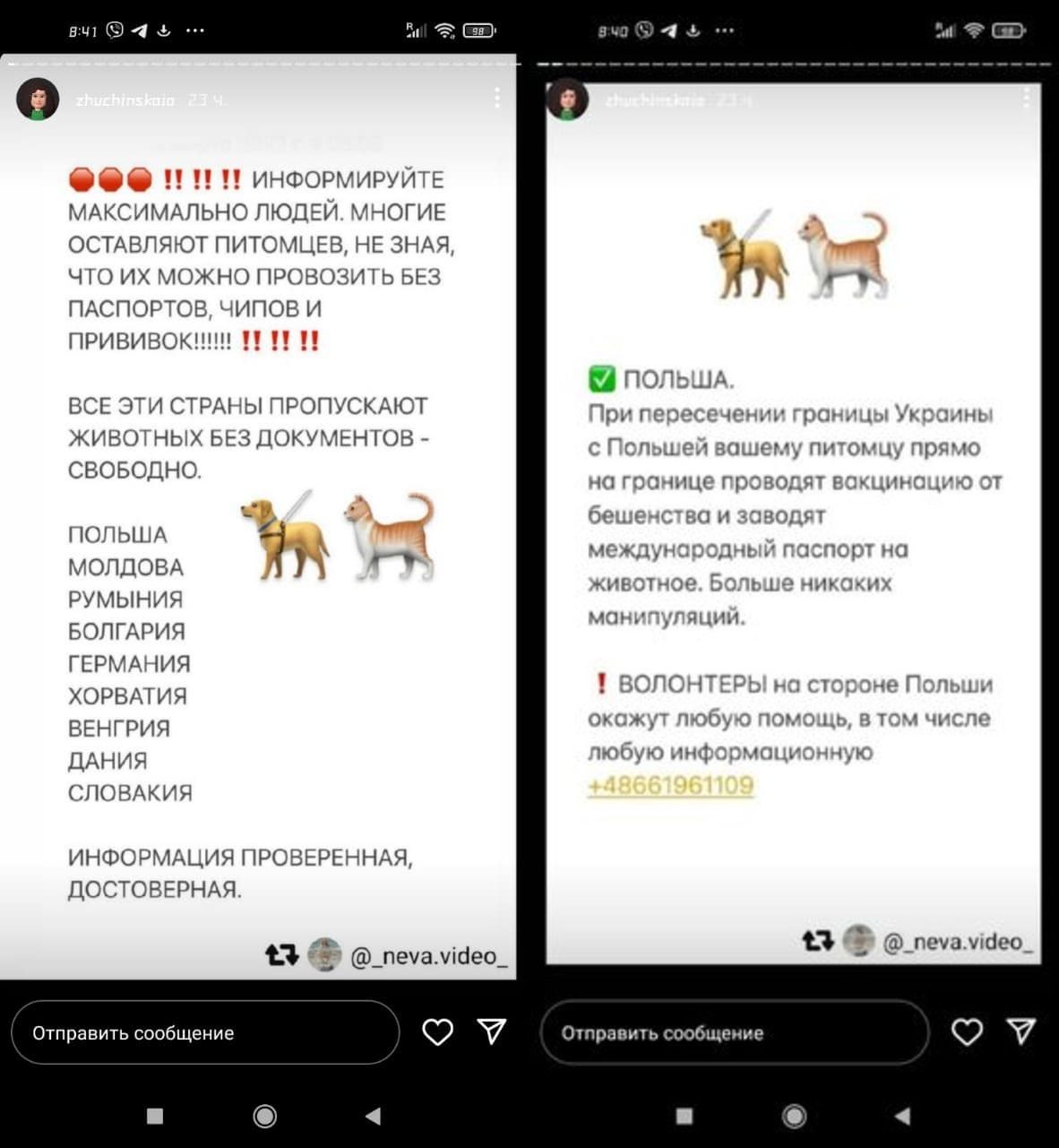 Новини Вінниці - фото з Взяти з собою тварину за кордон під час війни. Країни, що межують з Україною, пом'якшили правила