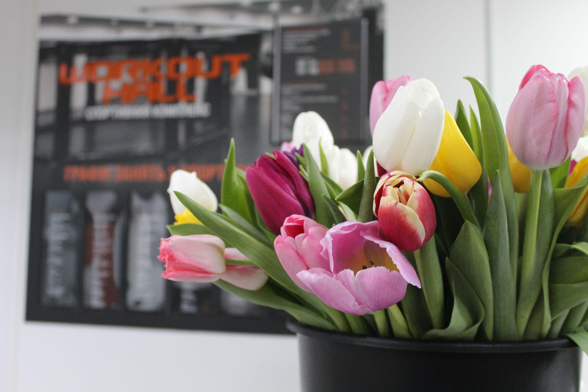 Новини Тернополя - фото з Спортивний комплекс із сотнею посмішок: як працює тернопільська організація «Шелтер» (РЕПОРТАЖ)