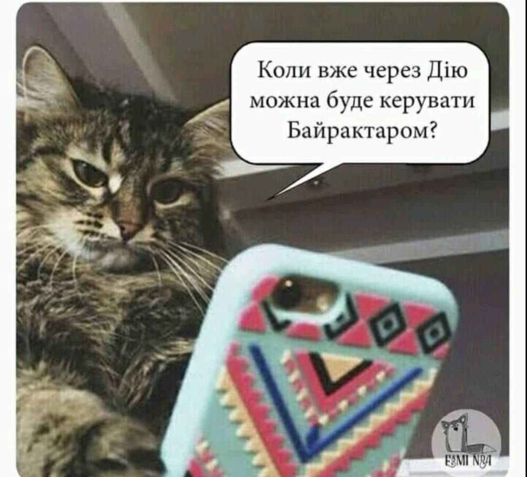 Новини Вінниці - фото з Щоб не плакати, ми сміялись: добірка мемів про війну