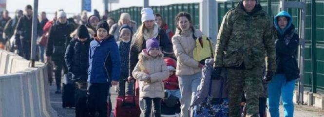 Новини Вінниці - фото з Найкраще за тиждень. ТОП важливих новин на 20minut.ua від 7 по 14 березня, які ви могли пропустити Брати статус біженця чи тимчасовий захист? Переваги та недоліки пояснила вінницька адвокатка