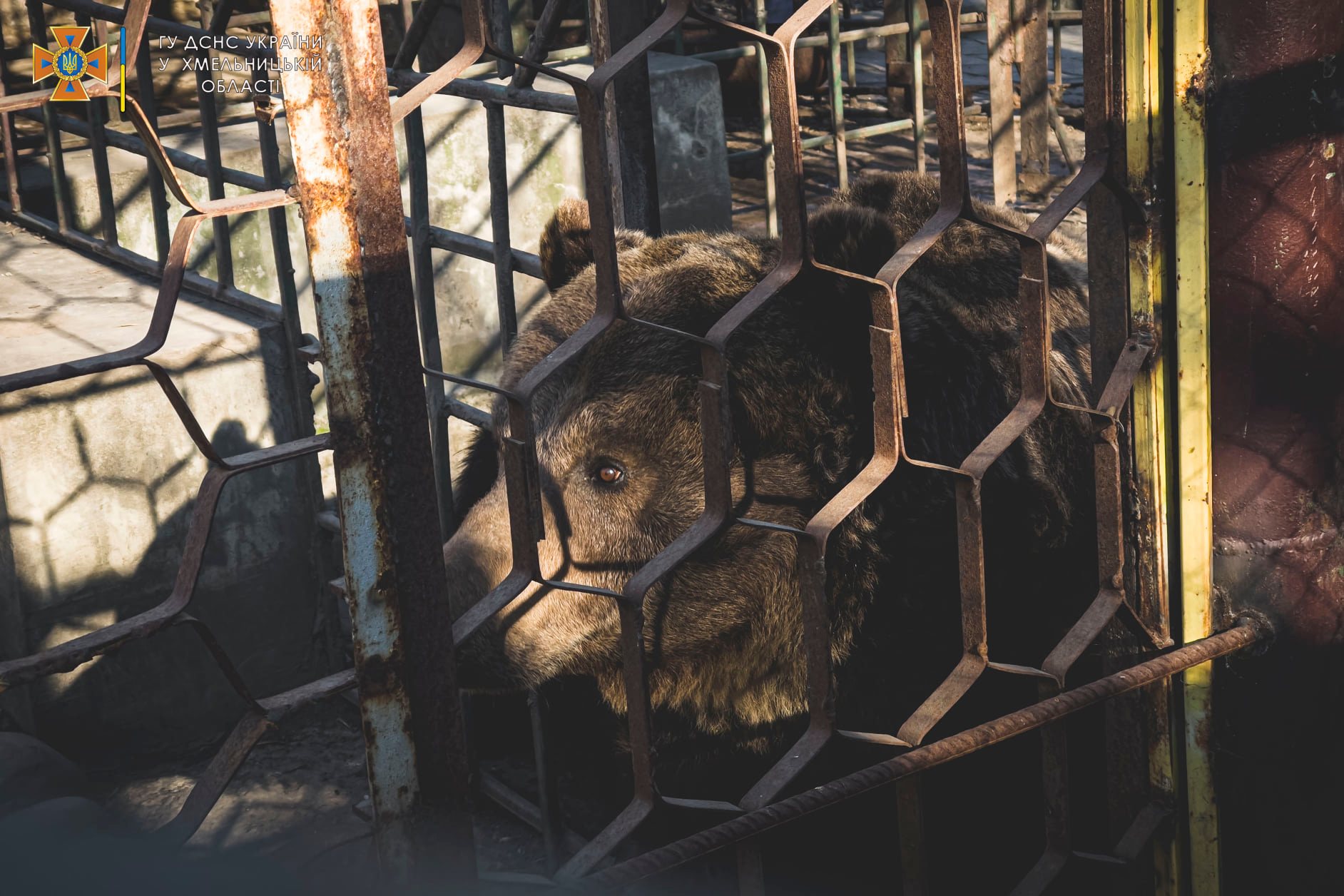 Новини Хмельницького - фото з У Кам’янець-Подільському районі горіло кафе, в якому живуть переселенці Возможно, это изображение (на открытом воздухе)