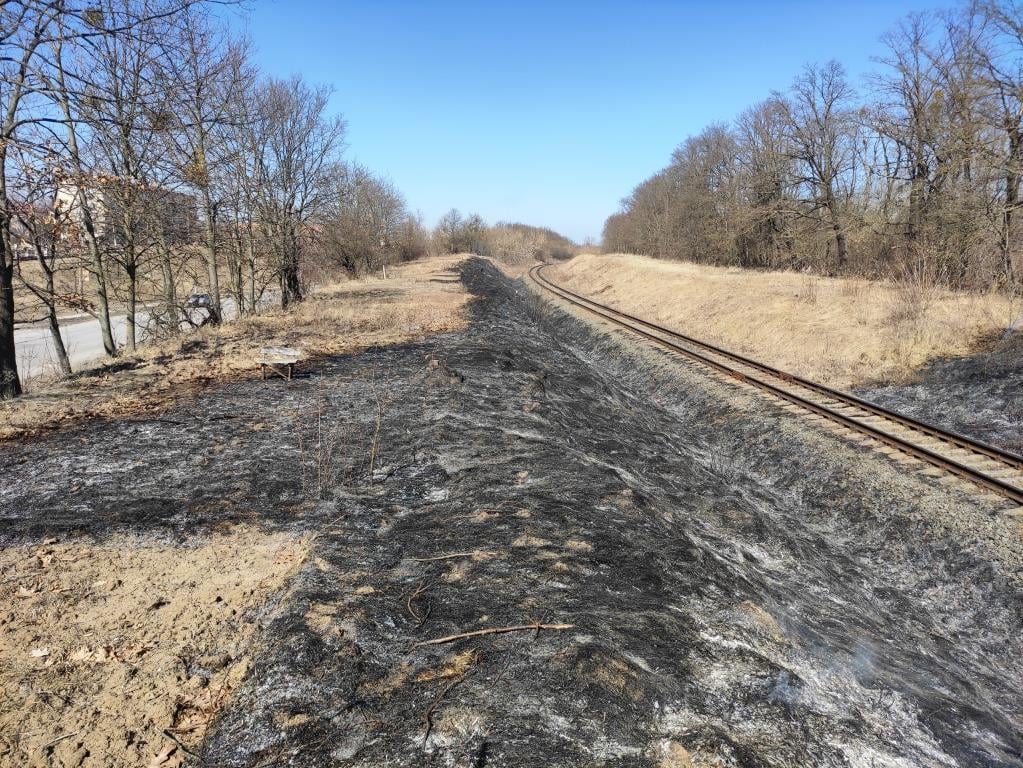 Новини Хмельницького - фото з На Хмельниччині затримали палія трави. На нього склали протокол Возможно, это изображение (природа, дорога, железная дорога и дерево)