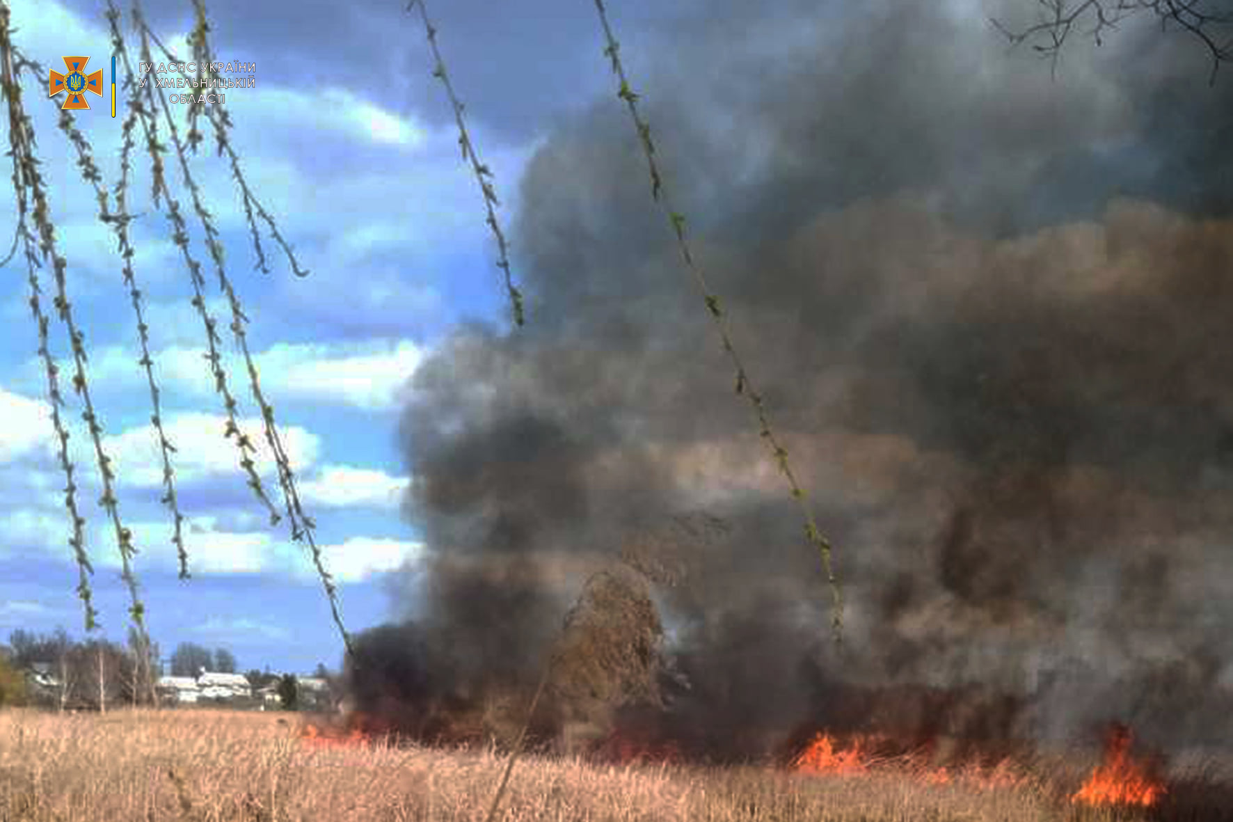 Возможно, это изображение (на открытом воздухе)