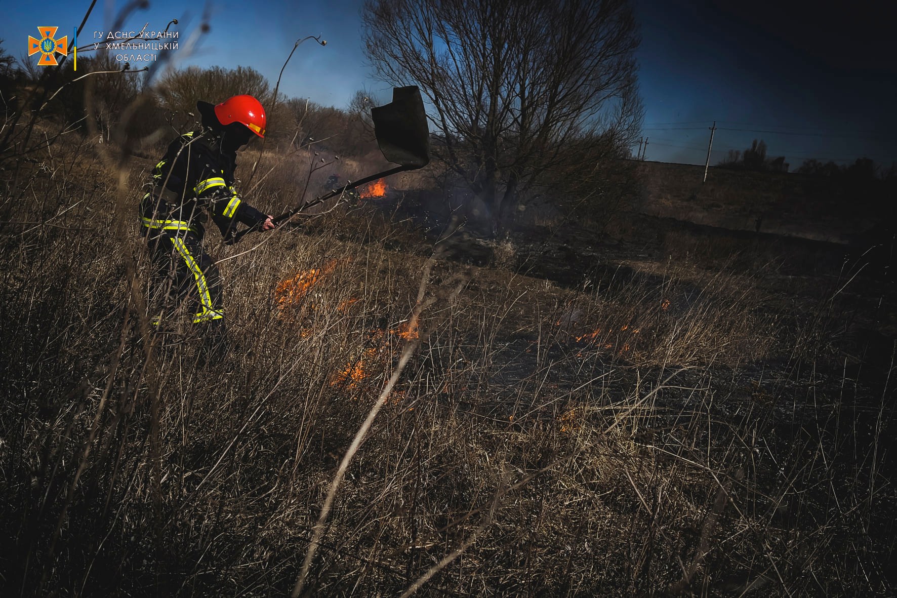 Возможно, это изображение (1 человек, дерево и природа)