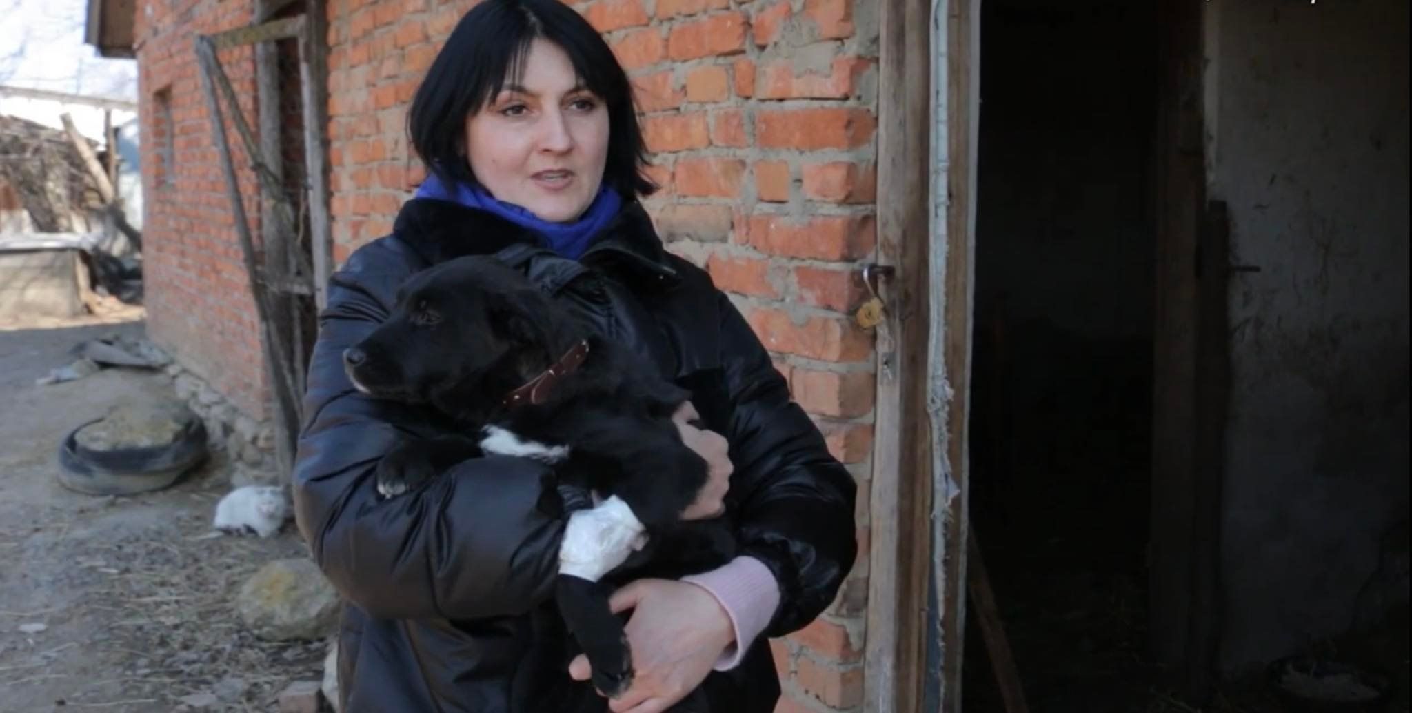 Новини Вінниці - фото з «Беруть речі, а тварин кидають». Чи треба документи на домашнього улюбленця при перетині кордону?