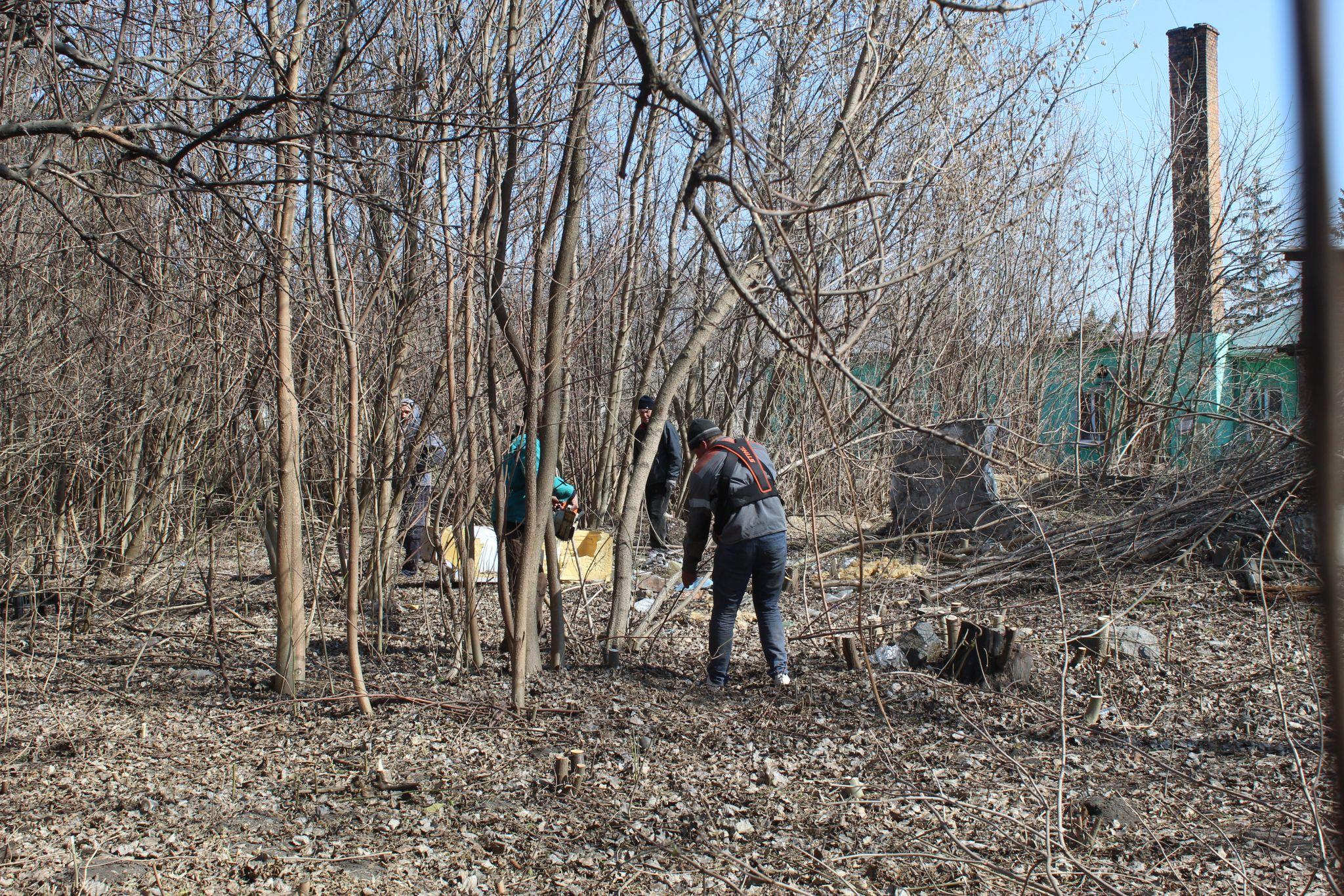 Новини Козятина - фото з Як на дорогах нашого міста красу наводять