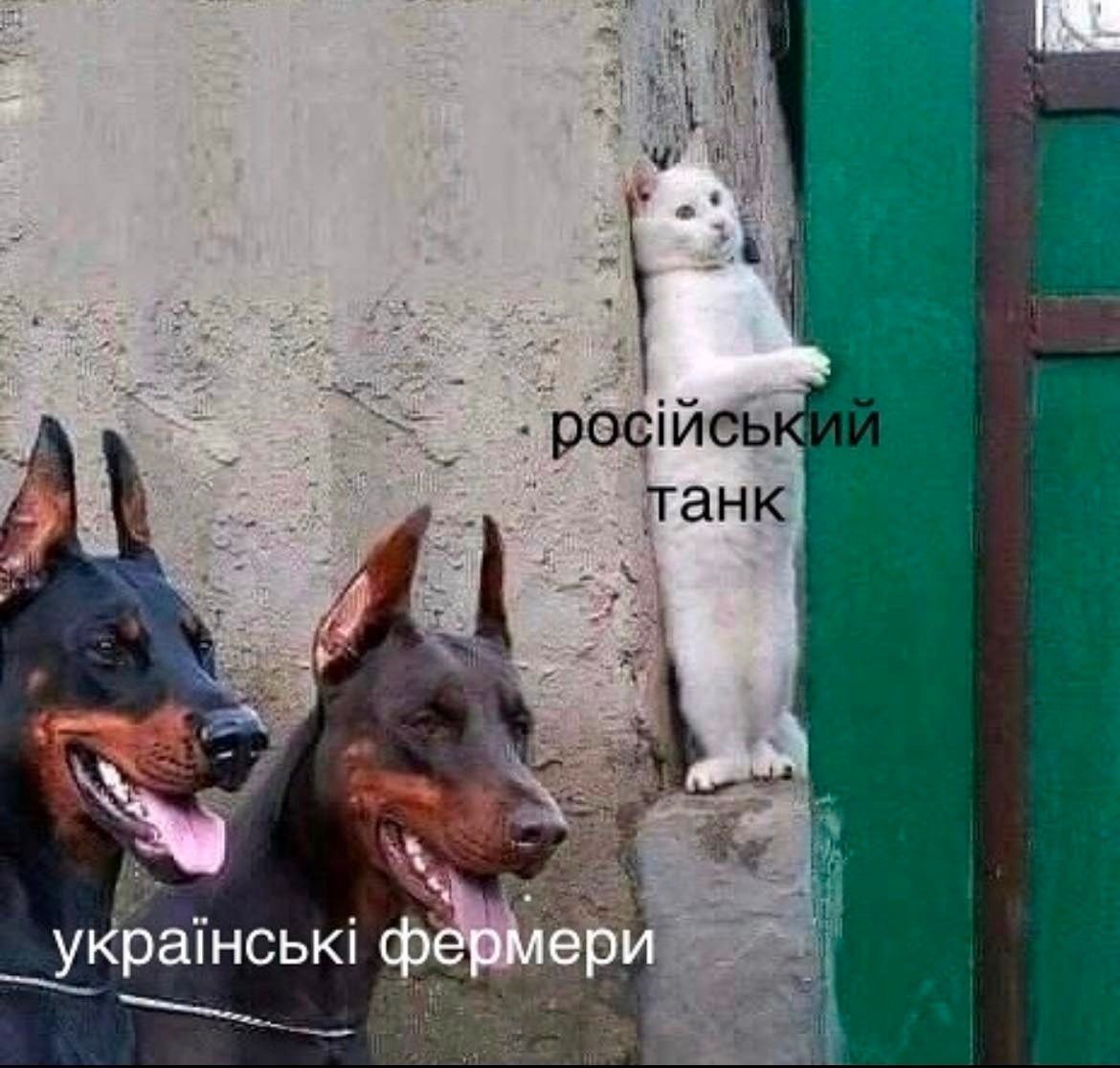 Новини Вінниці - фото з Щоб не плакати, ми сміялись: добірка мемів для підтримки бойового настрою